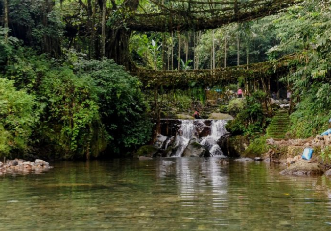 Assam and Meghalaya Group Tour
